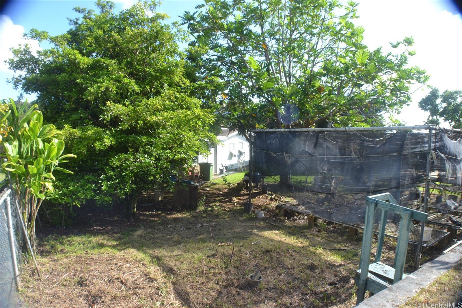 Photo 7 of 20
