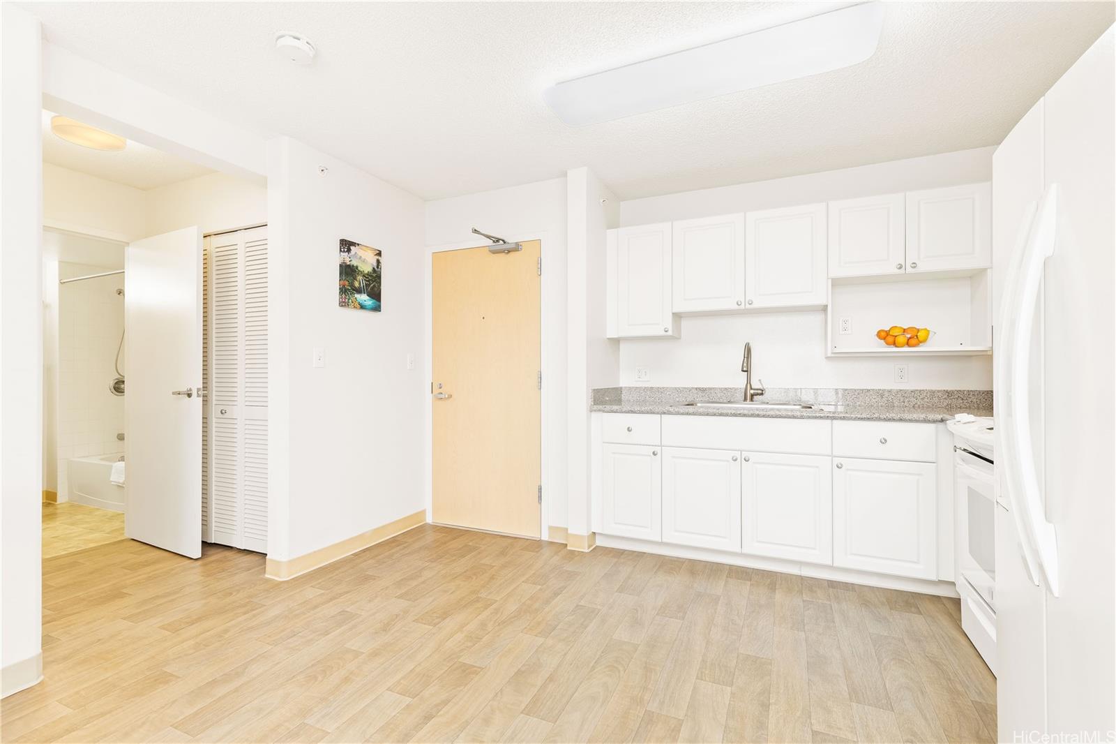 801 South Street  Unit 2910