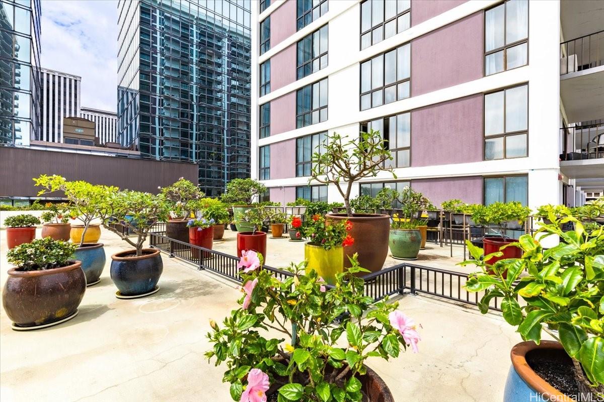 225 Queen Street  Unit 11E