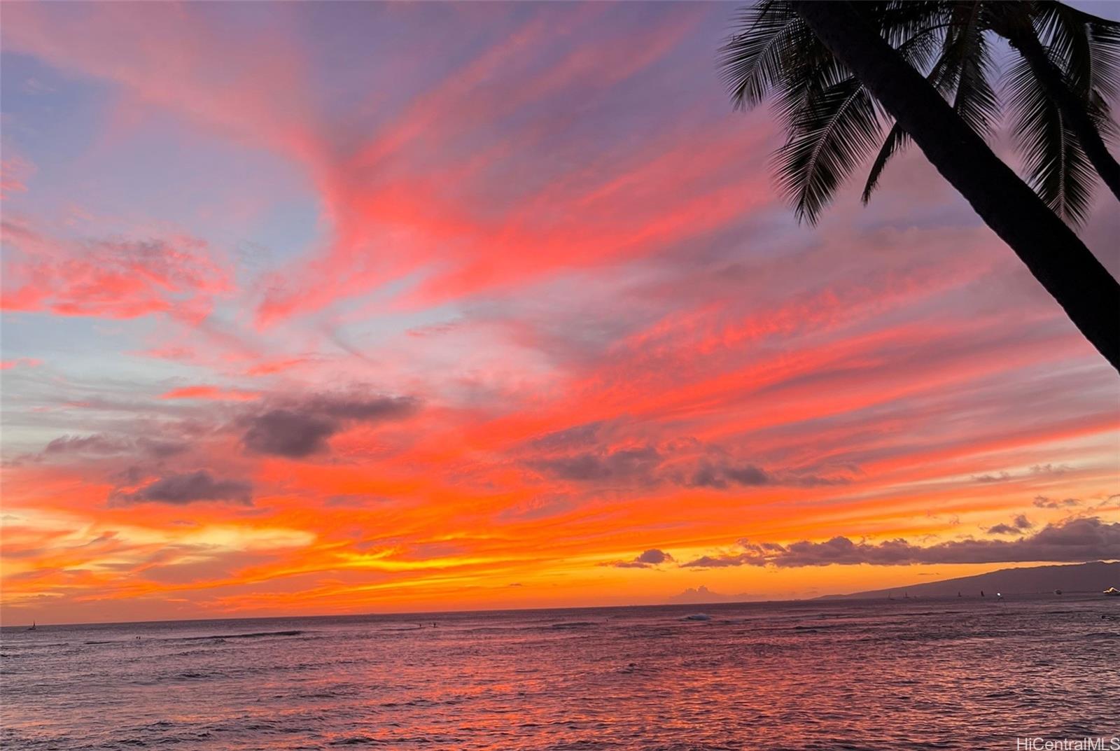 2987 Kalakaua Avenue  Unit 205