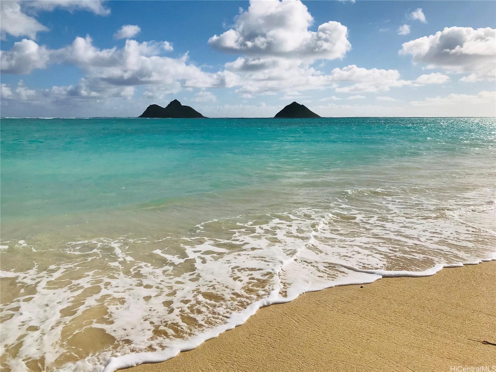 1302 Kamahele Street  Unit 2402