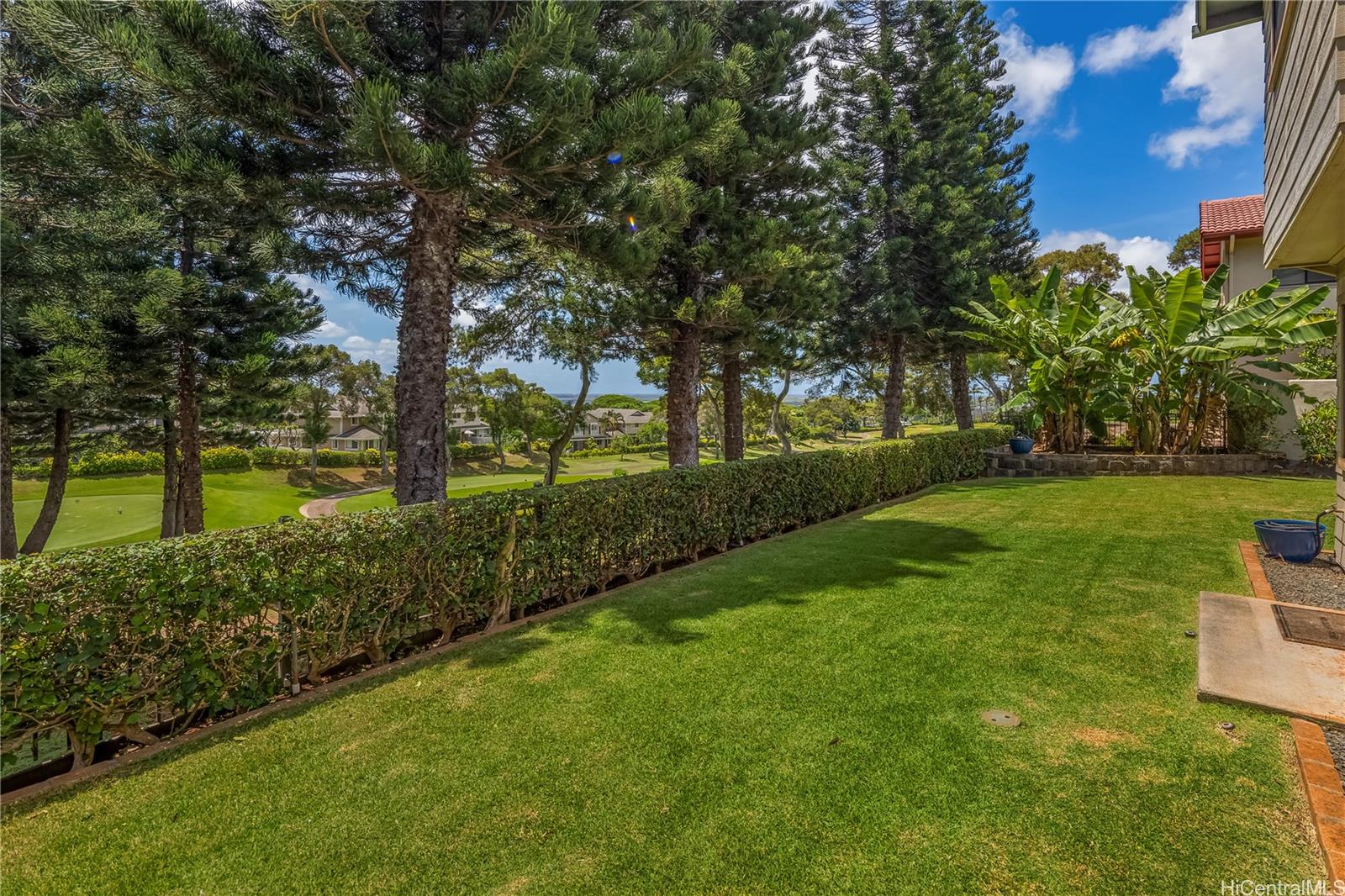Photo 17 of 25
