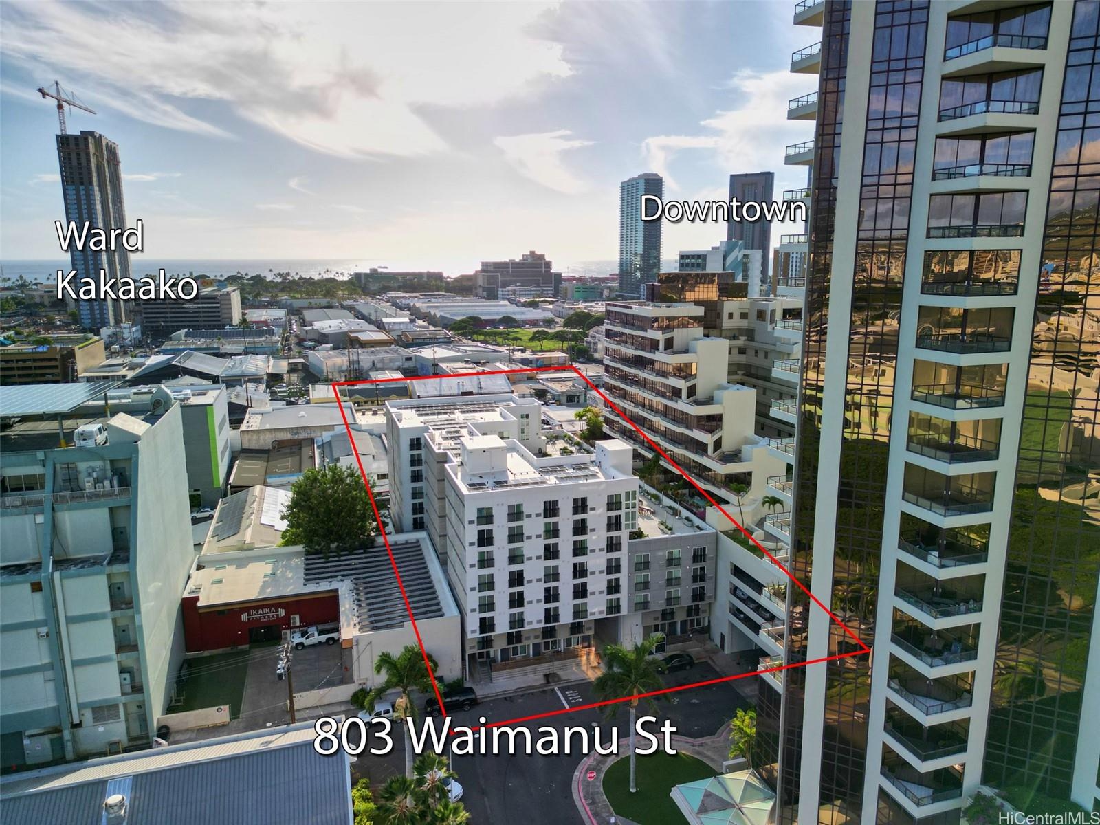 803 Waimanu Street  Unit 407