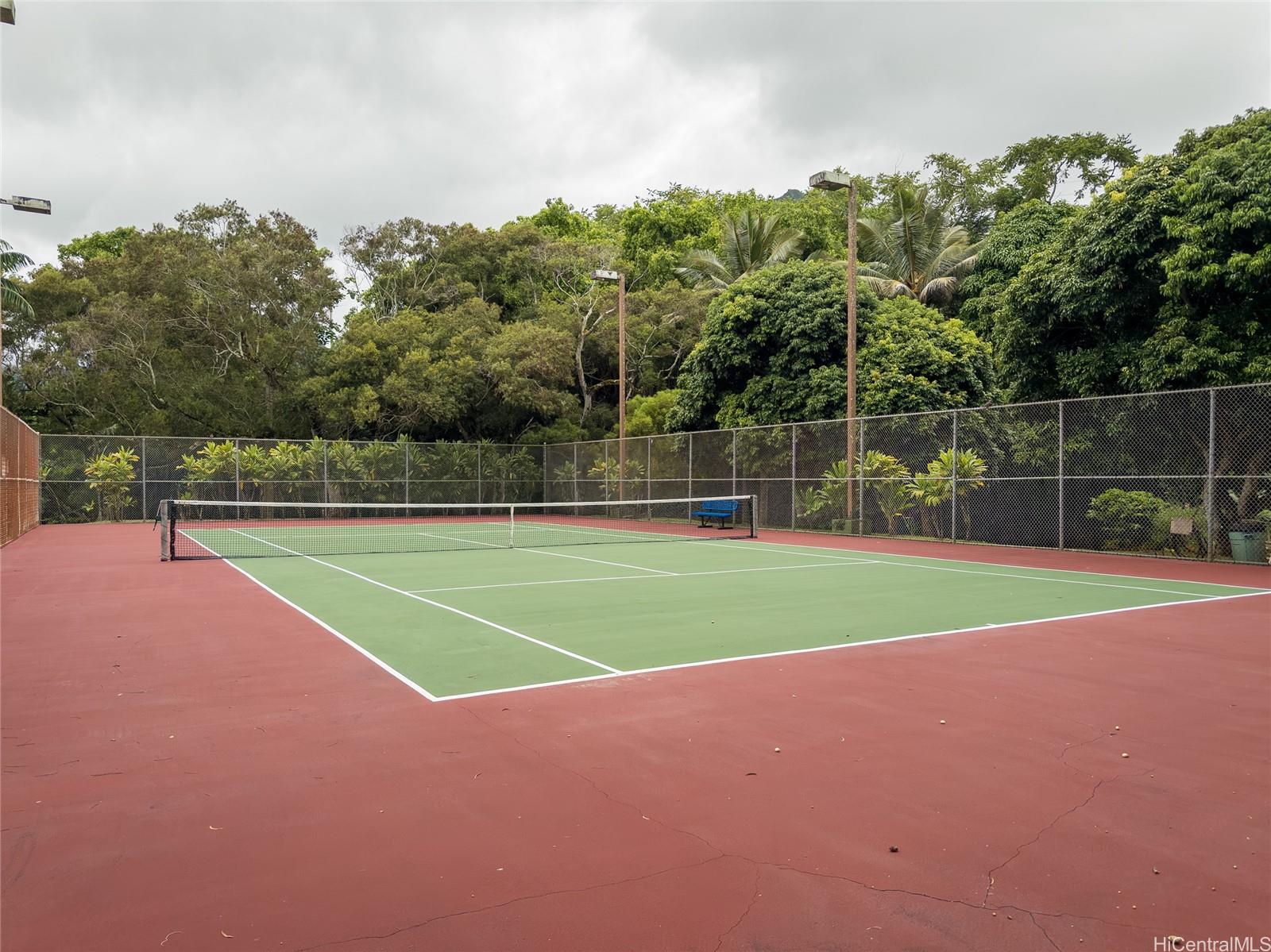 Photo 19 of 24