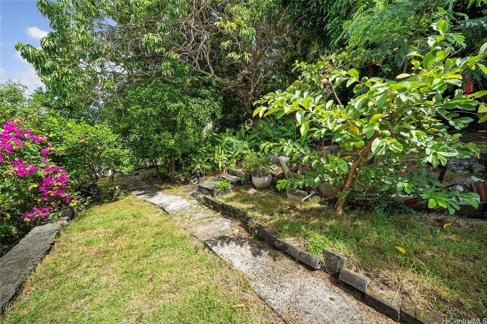 Photo 20 of 25