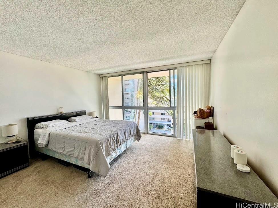 500 University Avenue  Unit 537