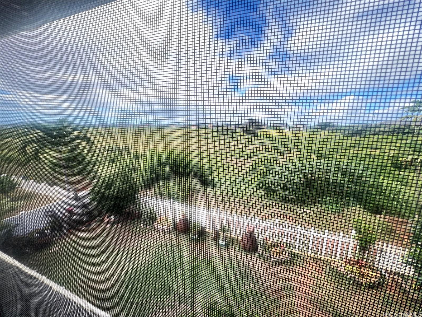 Photo 25 of 25