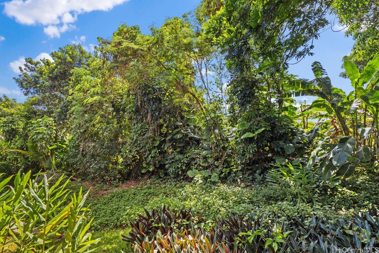 51-636 Kamehameha Highway  Unit 215