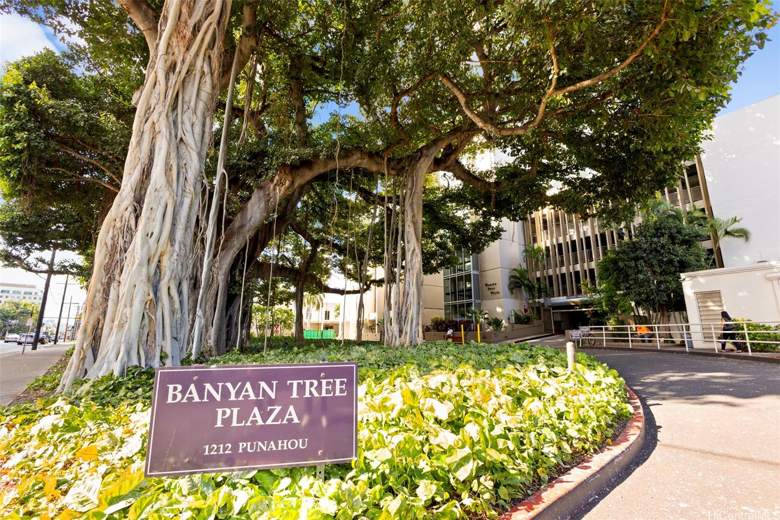 1212 Punahou Street  Unit 1008
