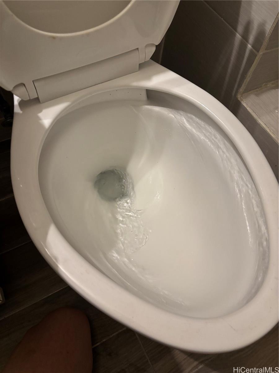 Photo 12 of 24