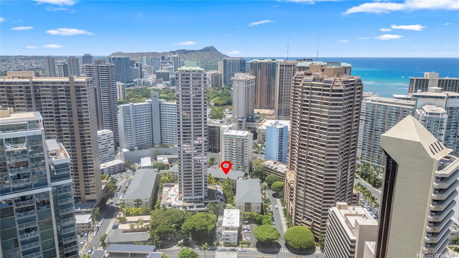 1810 Kaioo Drive B307