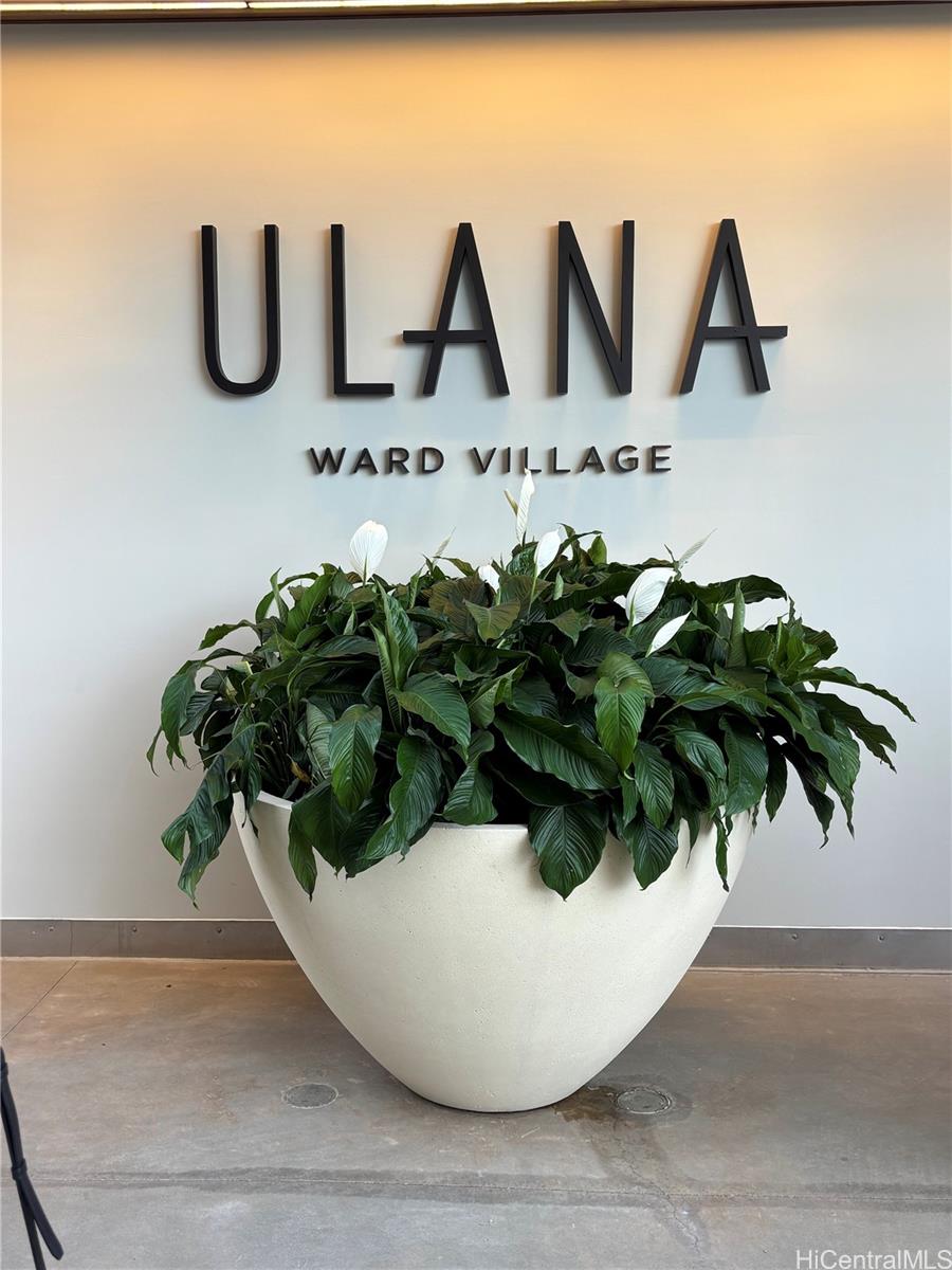 828 Auahi Street 3503
