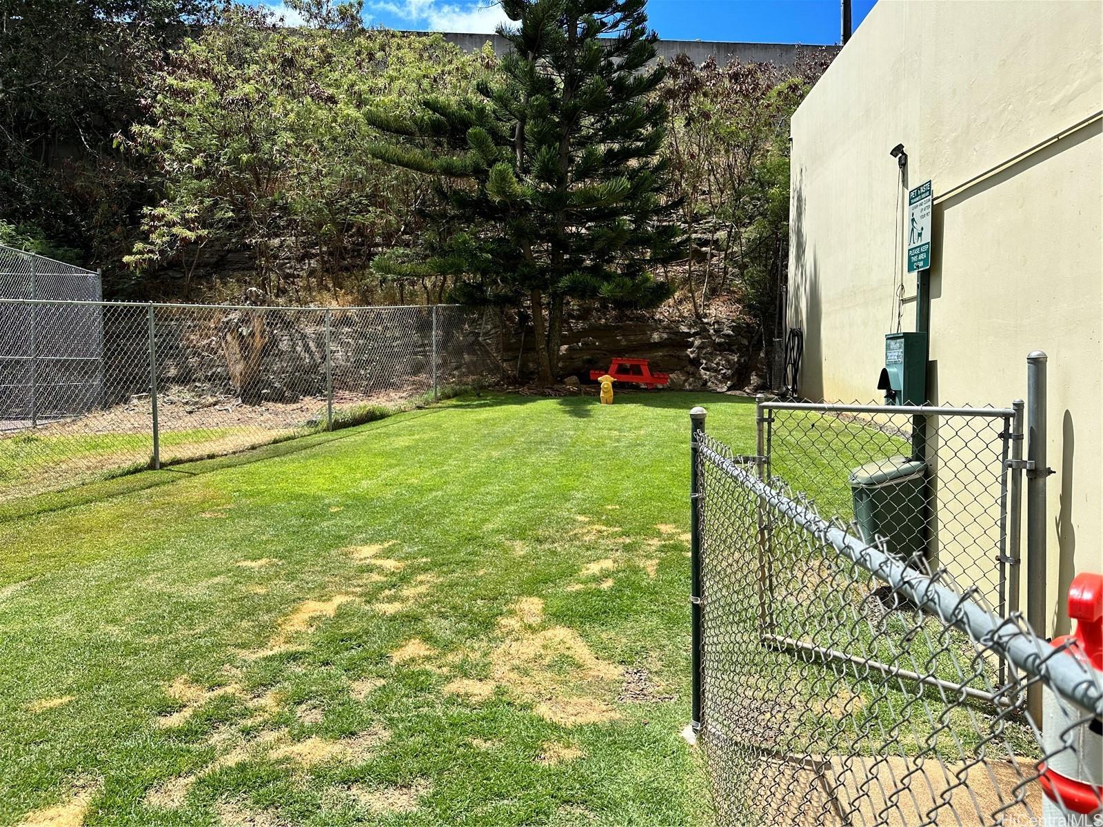 Photo 12 of 14
