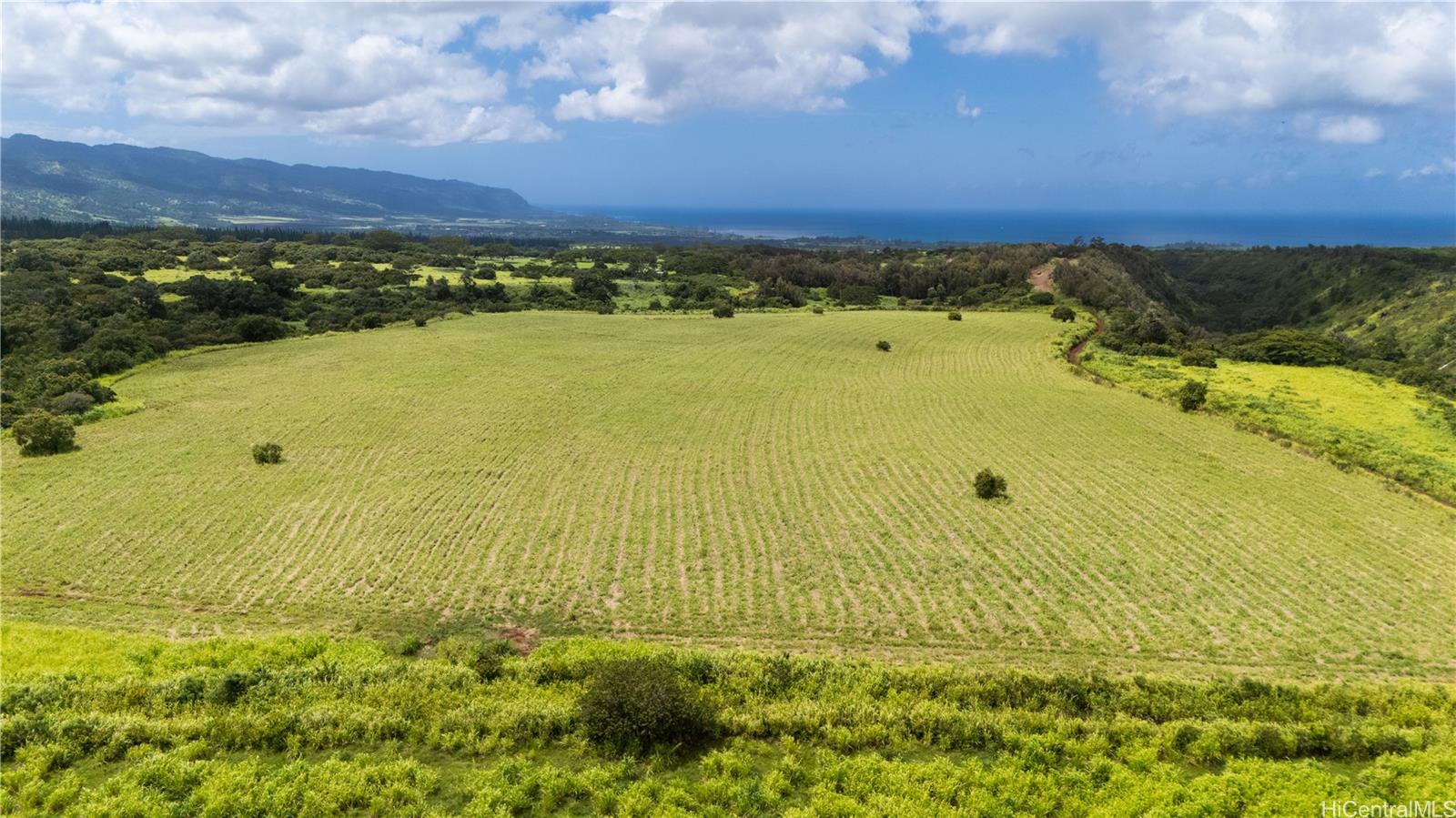 0000 Plantation Road