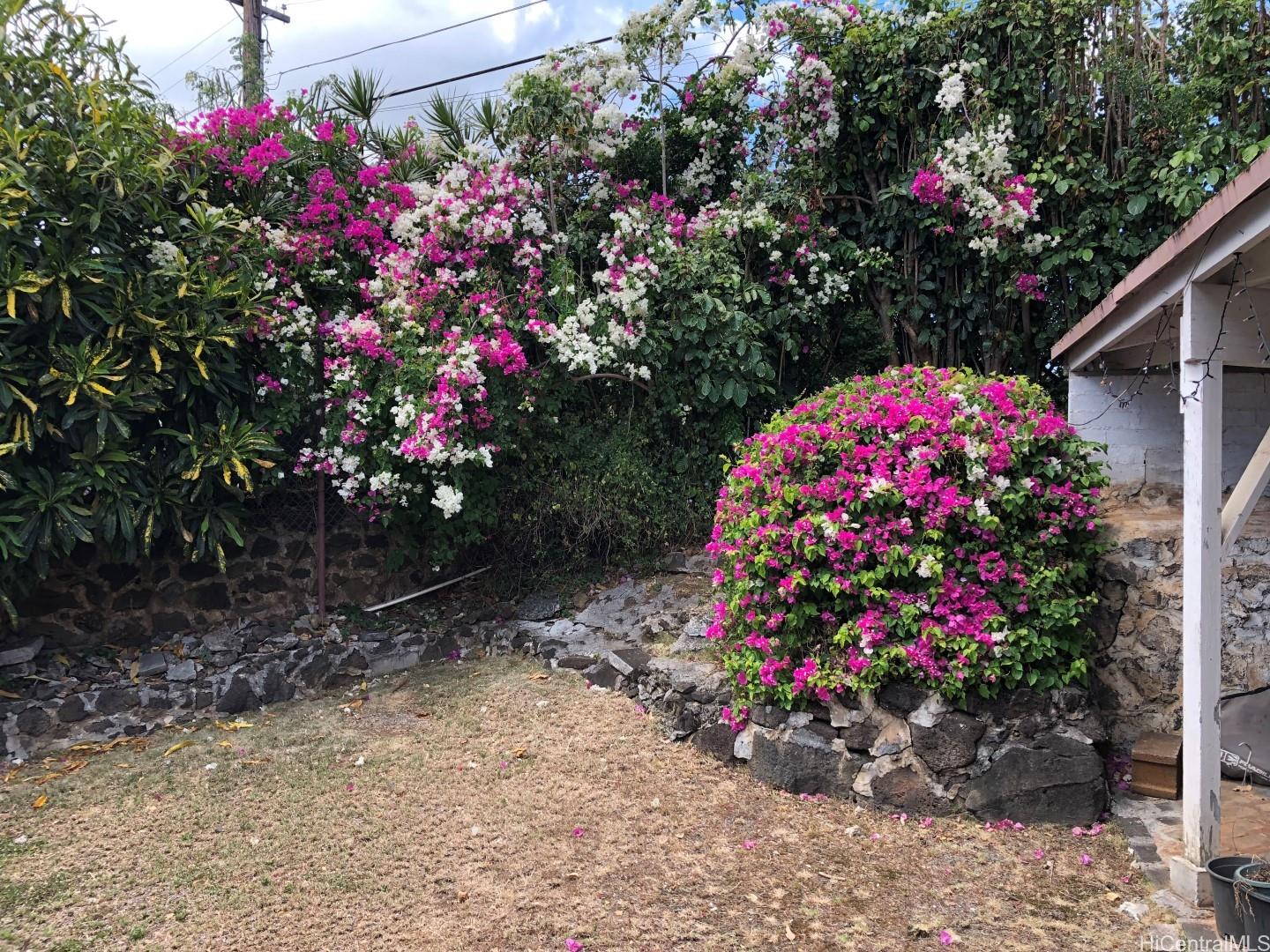 Photo 18 of 18