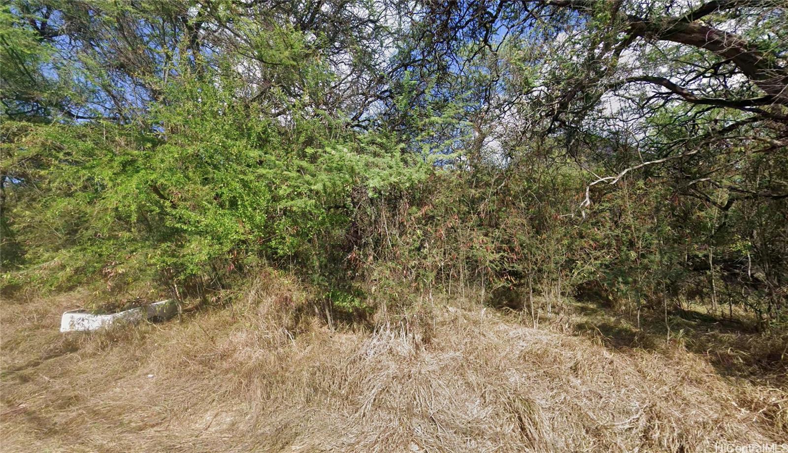 Photo 4 of 5