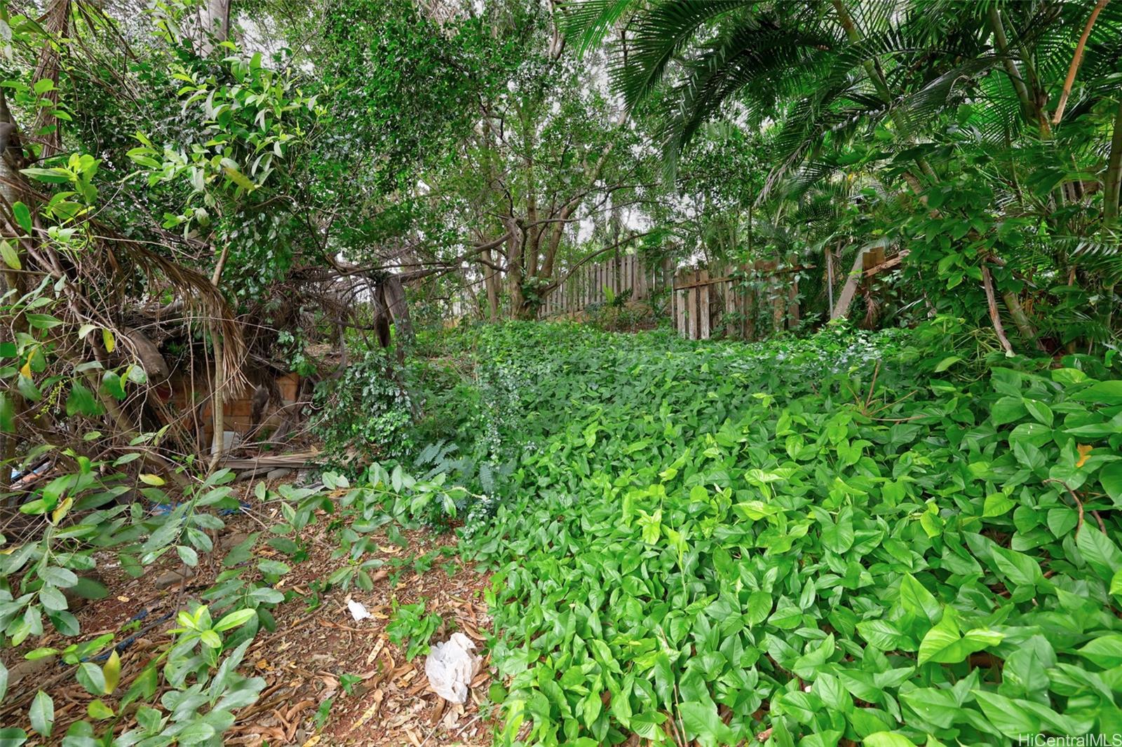 Photo 18 of 25