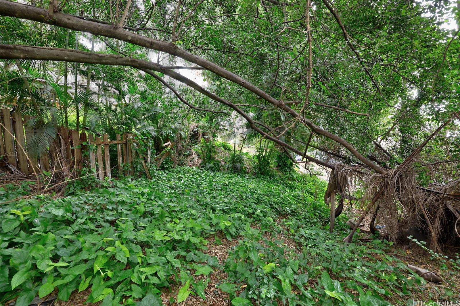 Photo 19 of 25