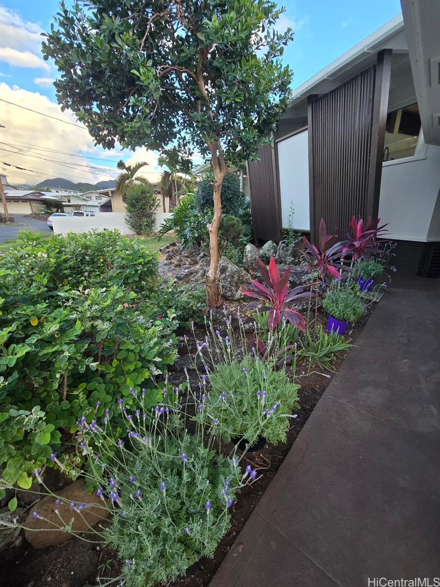 Photo 4 of 24