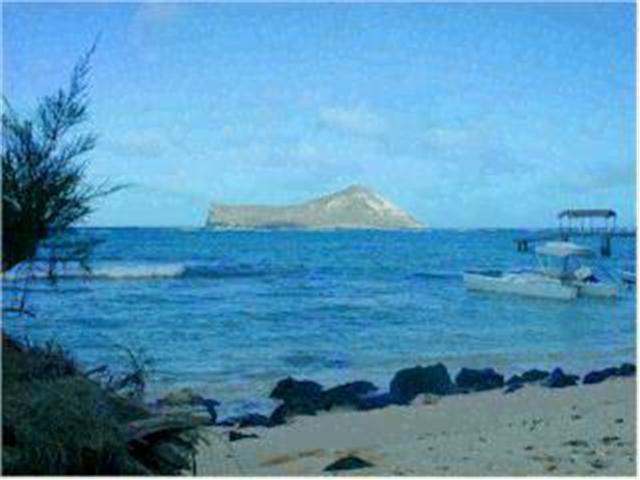 41459 Kalanianaole Highway