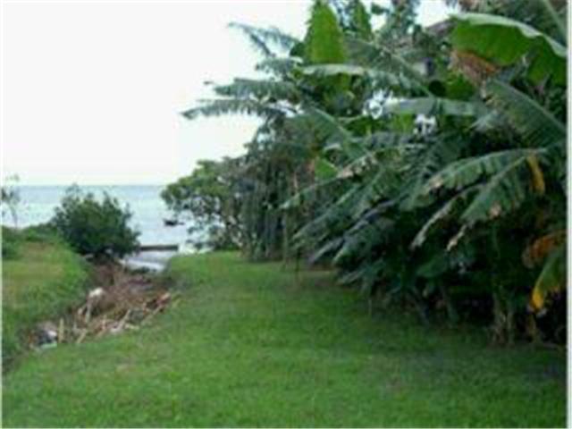 47733 Kamehameha V Highway