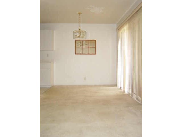 911219 Mikohu Street  Unit 37/B