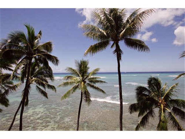 3003 Kalakaua Avenue  Unit 5A