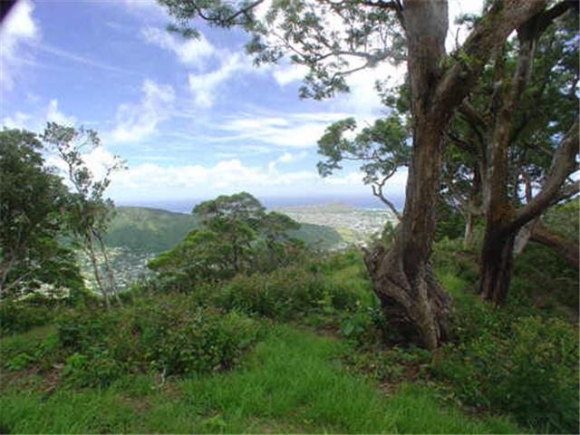 4005 Round Top Drive