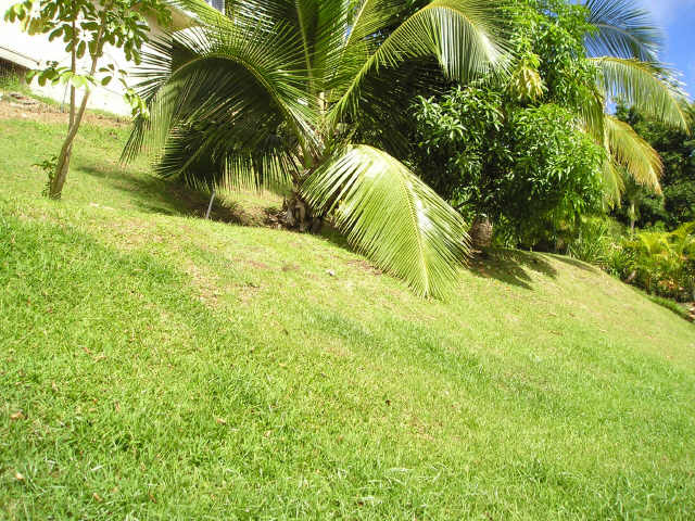 1479 Kanapuu Drive 1479 Kanapuu Drive