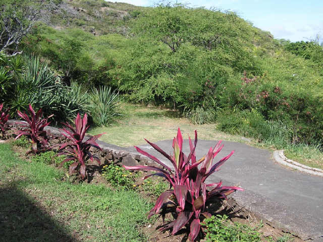 5888B Kalanianaole Highway 5888B Kalanianaole Highway