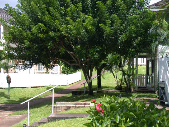 941451 Waipio Uka Street  Unit L106