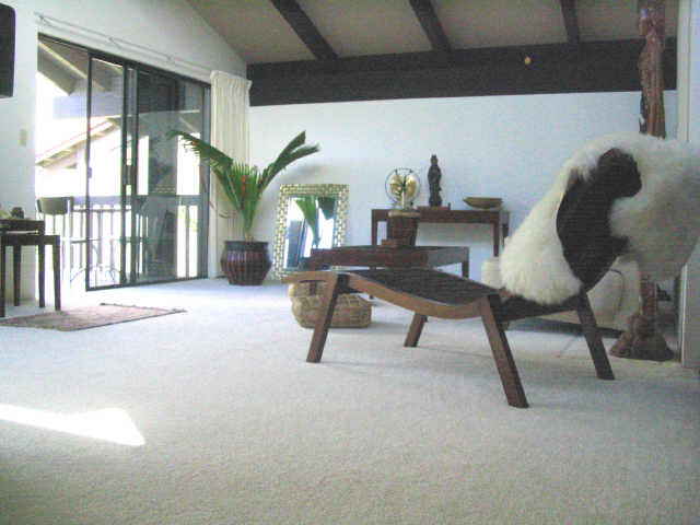 1487 Hiikala Place  Unit 35