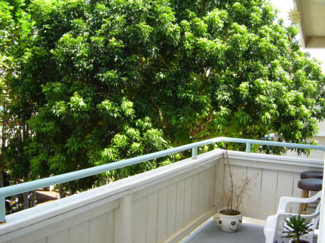91-1121 Laaulu Street  Unit 10/B