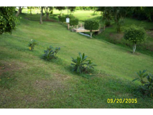 46078 Emepela Place  Unit K/104