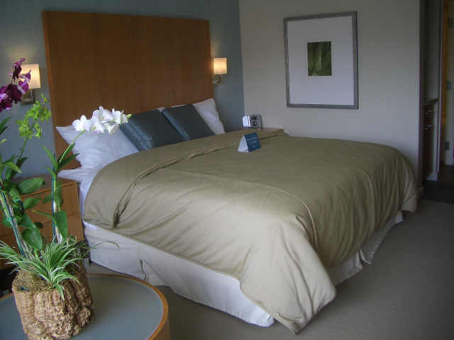 410 Atkinson Drive  Unit 1259