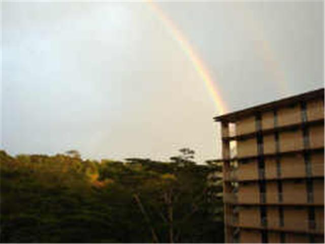 95-269 Waikalani Drive  Unit C/501