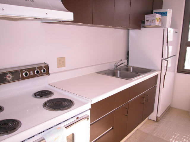 201 Ohua Avenue  Unit 3013-II