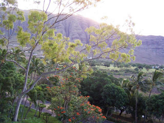 84-740 Kili Drive  Unit J/634
