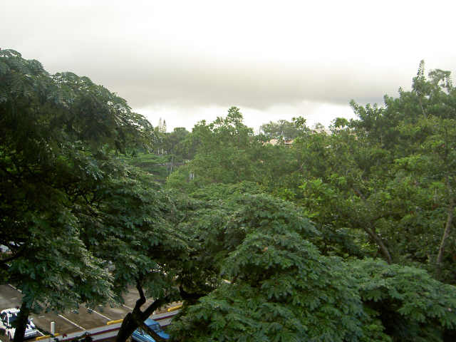 9565 Waikalani Drive  Unit F401