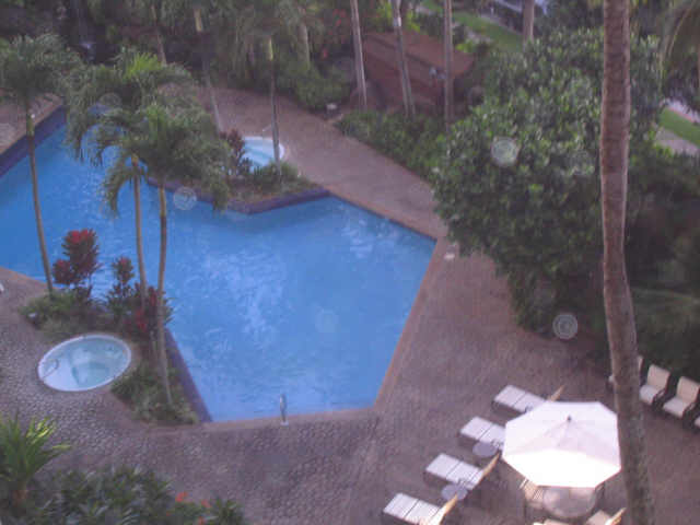 555 Hahaione Street  Unit 6D