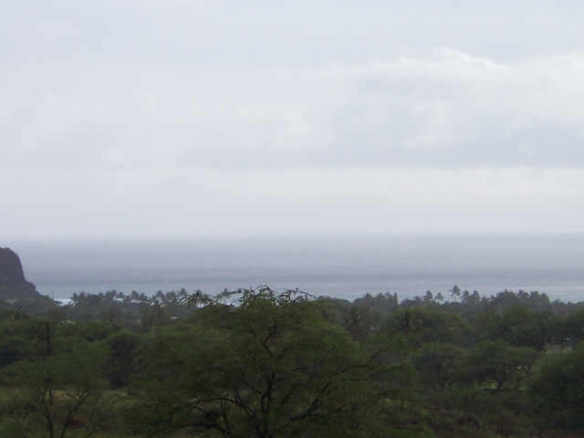 84664 Ala Mahiku Street  Unit 40/195B