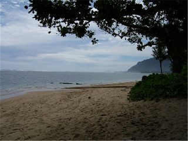 53-549 Kamehameha Highway  Unit 118