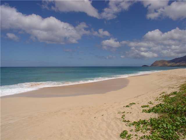 87-561 Farrington Highway  Unit 317