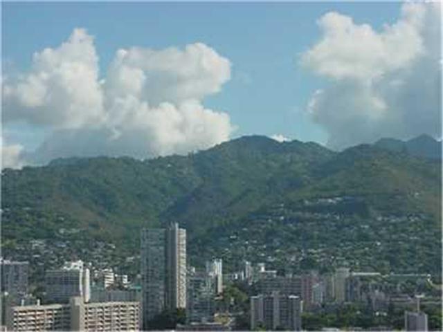 410 Atkinson Drive  Unit 3103