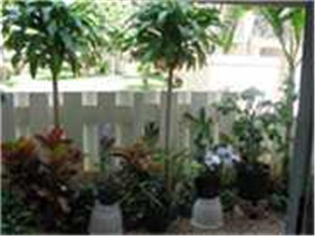 911203 Kaneana Street  Unit 4/F