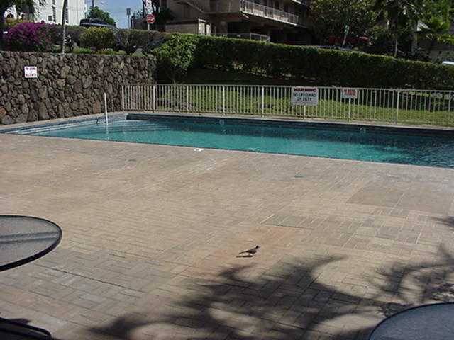 2888 Ala Ilima Street  Unit 1512