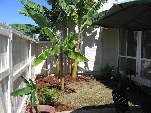 911145 Laaulu Street  Unit 12/E
