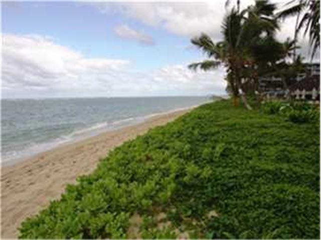 53567 Kamehameha Highway  Unit BL204