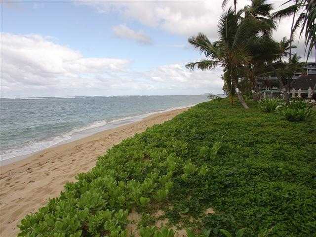 53567 Kamehameha Highway  Unit BL204