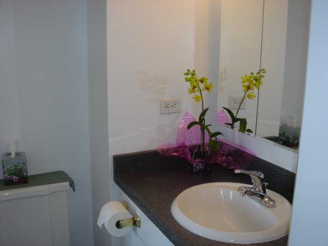 1617 Keeaumoku Street  Unit 703